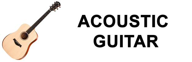 acoustic guitar​