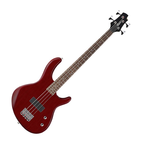 bass