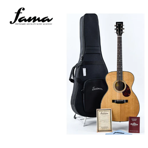 eastman e3ome dlx gloss finishing full solid with fishman sonitone guitar bag casing