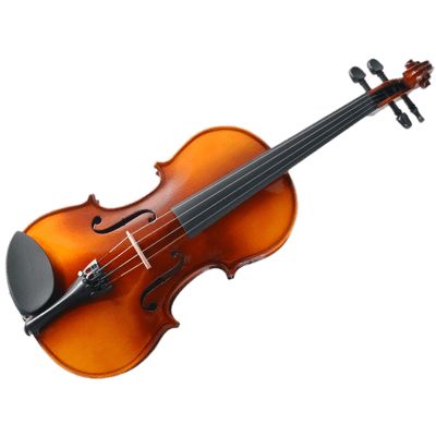 violin