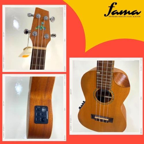 shaka moon cut c/eq concert size