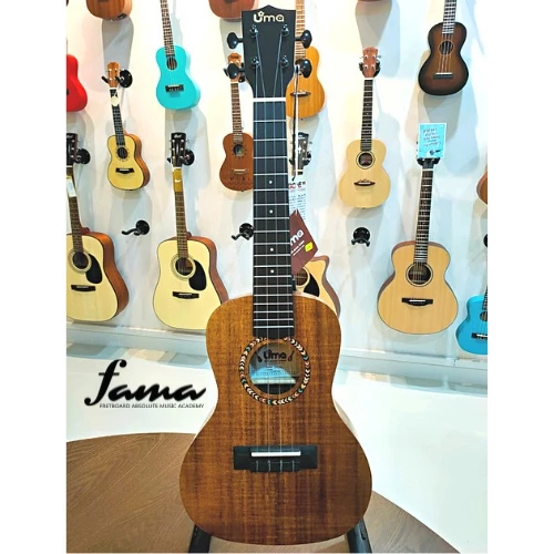 uma ukulele 23' 26' concert tenor acacia koa wood uma 04c uma ukulele 23' 26' concert tenor acacia koa wood uma 04c