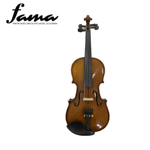 synwin sv211005 1/2 half size student violin outfit (sv1005)