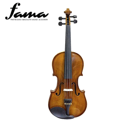 synwin sv441005 4/4 full size student violin outfit (sv1005)