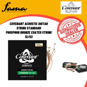 covenant acoustic guitar string standard phosphor bronze coated string 12/53