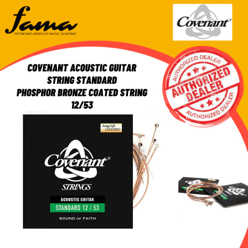 covenant acoustic guitar string standard phosphor bronze coated string 12/53