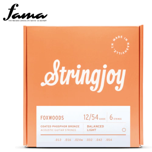 stringjoy foxwoods | light gauge (12 54) coated phosphor bronze acoustic guitar strings