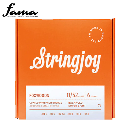 stringjoy foxwoods | light gauge (12 54) coated phosphor bronze acoustic guitar strings