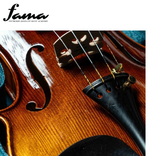 PHOENIX Violin VZ101E size 4/4 High-quality woods for exam graded - Image 3